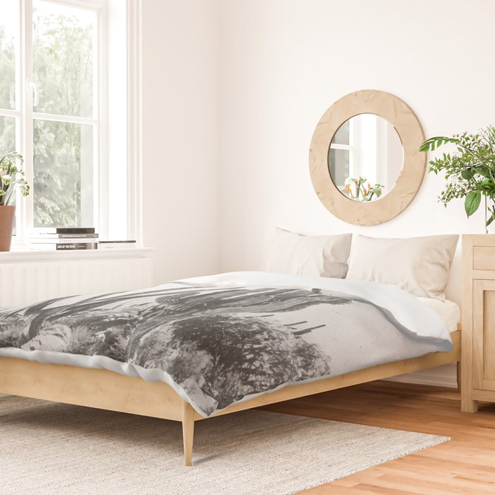DESERT CACTUS XVII / Baja, Mexico Duvet Cover Gallery Image 2