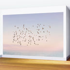 Before the Sun Sets Wall Mural Gallery Image 2