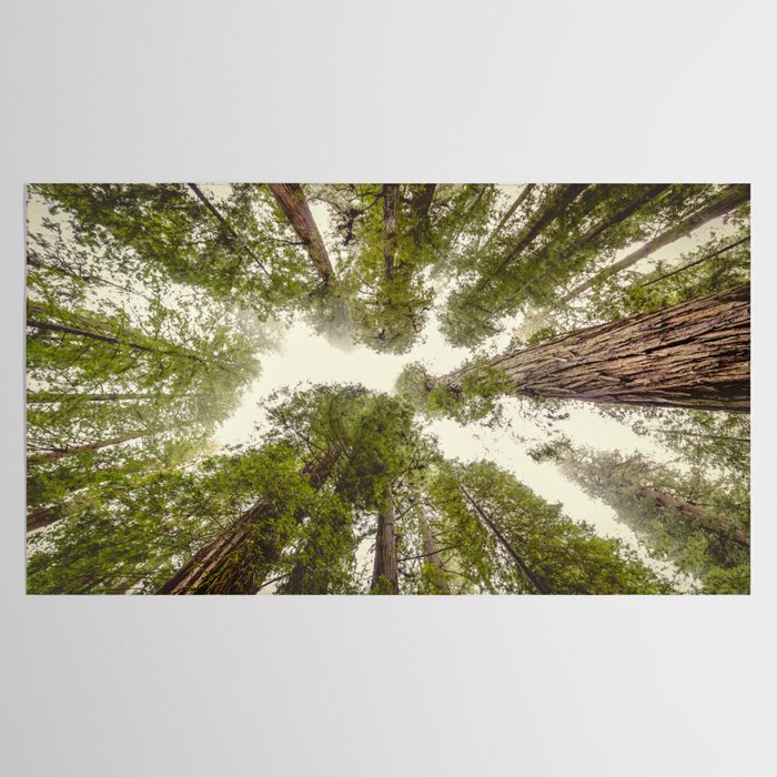 Into the Mist - Nature Photography Tablecloth Gallery Image 2