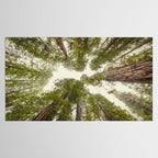 Into the Mist - Nature Photography Tablecloth Gallery Image 2
