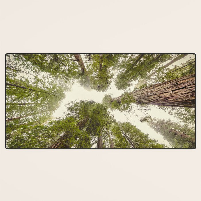 Into the Mist - Nature Photography Desk Mat Gallery Image 3