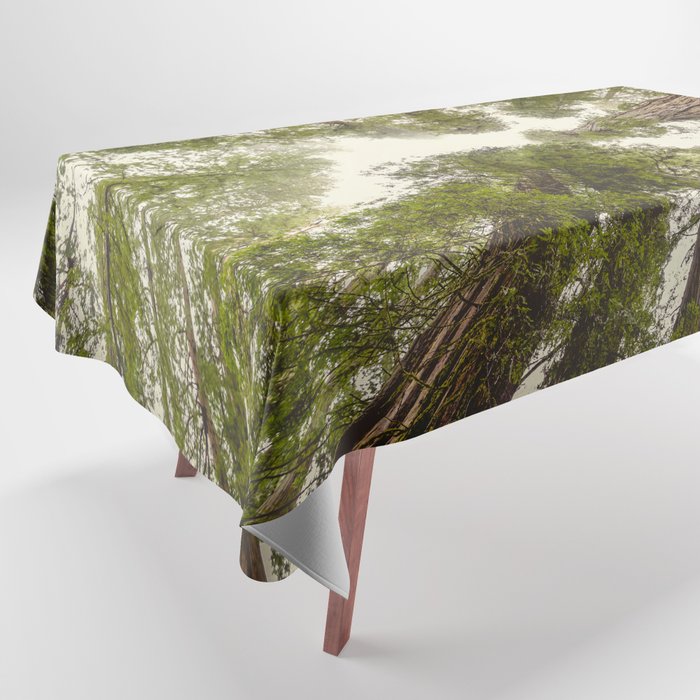 Into the Mist - Nature Photography Tablecloth Gallery Image 1