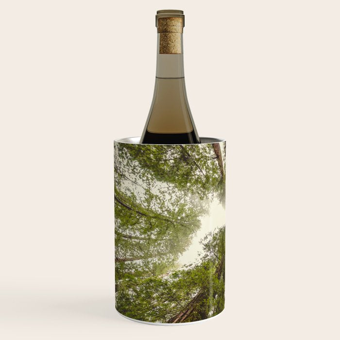 Into the Mist - Nature Photography Wine Chiller Gallery Image 2