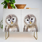 Baby Owl - Colorful Credenza Gallery Image 1