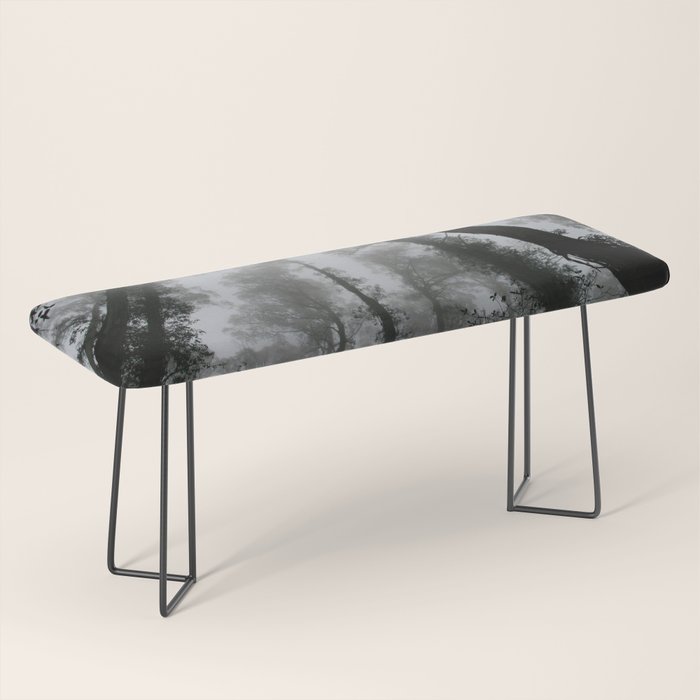 The Dark Forest (Black and White) Bench Gallery Image 1