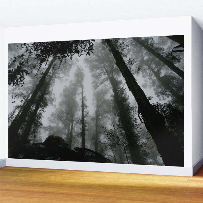 The Dark Forest (Black and White) Wall Mural Gallery Image 2