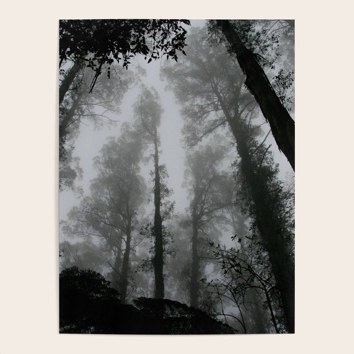 The Dark Forest (Black and White) Poster Gallery Image 1