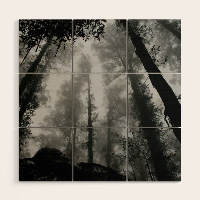 The Dark Forest (Black and White) Wood Wall Art Gallery Image 1