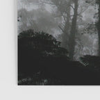 The Dark Forest (Black and White) Poster Gallery Image 3