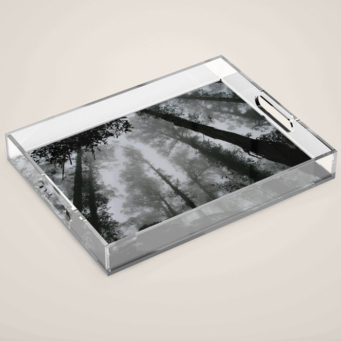 The Dark Forest (Black and White) Acrylic Tray Gallery Image 1