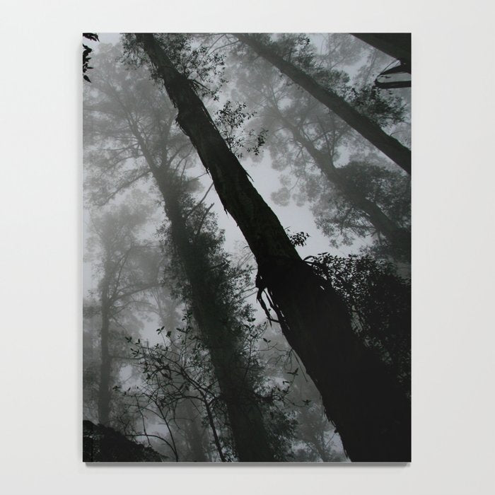 The Dark Forest (Black and White) Notebook Gallery Image 4