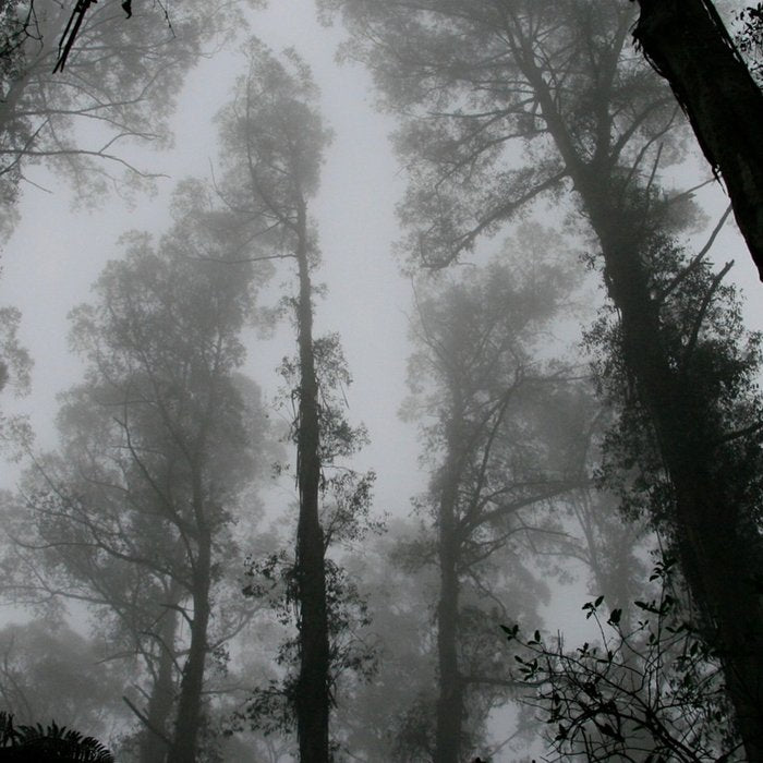 The Dark Forest (Black and White) Coffee Mug Gallery Image 2