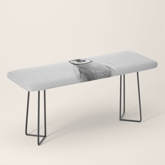 Baby Penguin - Black & White Bench Gallery Image 1