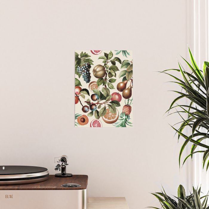 Fruitful Florals, Vintage Prints Food Poster Gallery Image 2