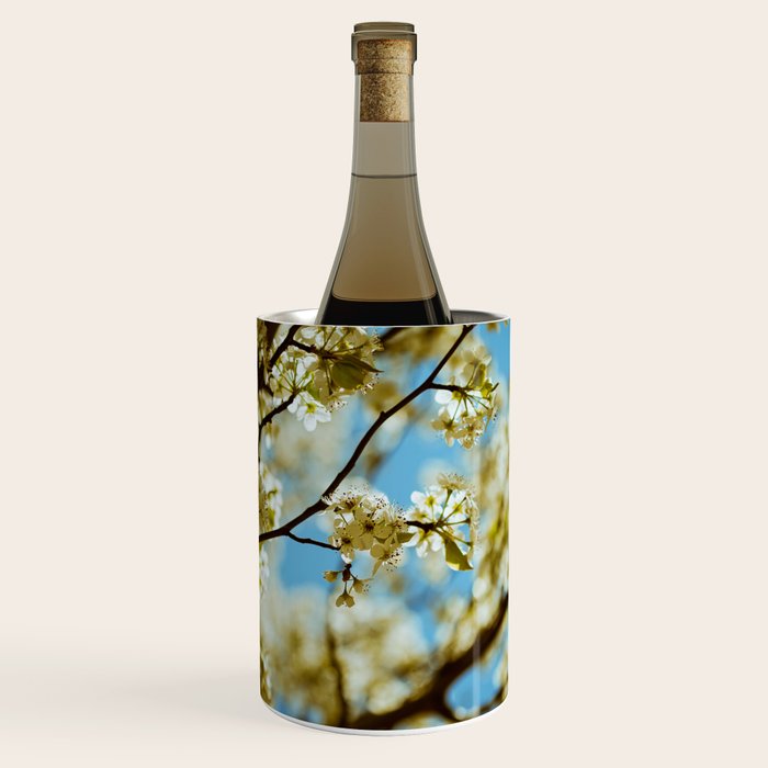 Reverie Wine Chiller Gallery Image 1
