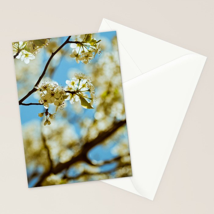 Reverie Stationery Card Gallery Image 2