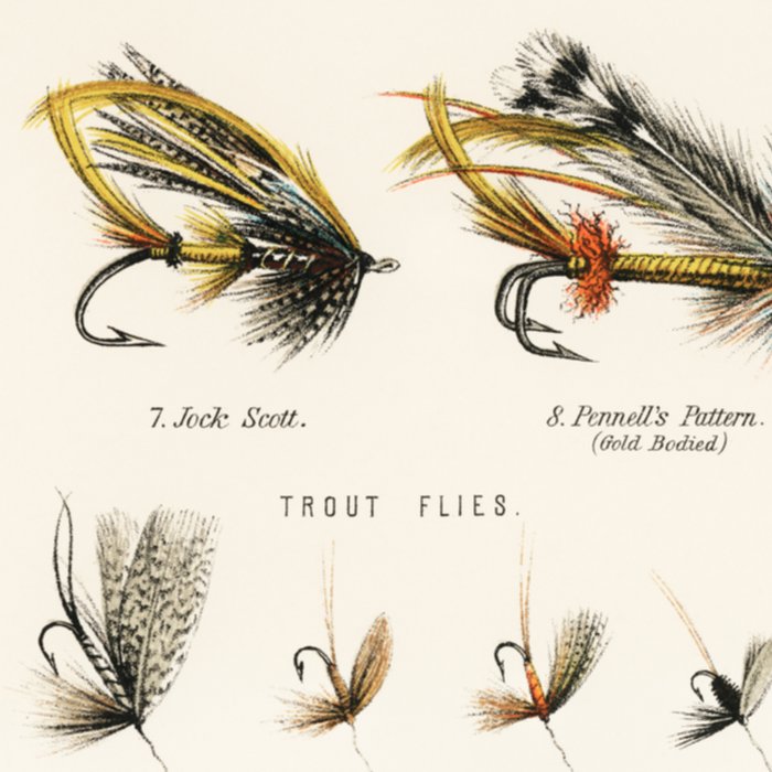 Angling Chart Coffee Mug Gallery Image 2
