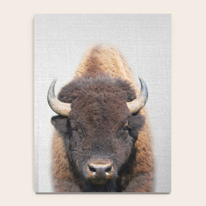 Buffalo - Colorful Notebook Gallery Image 4