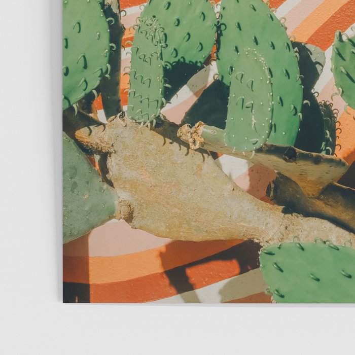 Retro Cactus Mural, Austin Texas Poster Gallery Image 3