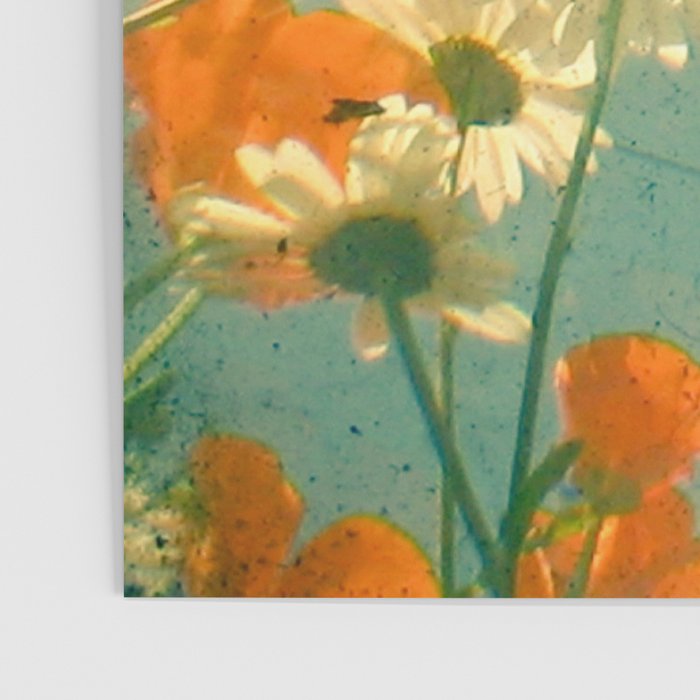 Daisy Poster Gallery Image 3