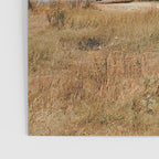 point reyes shipwreck - california Poster Gallery Image 3