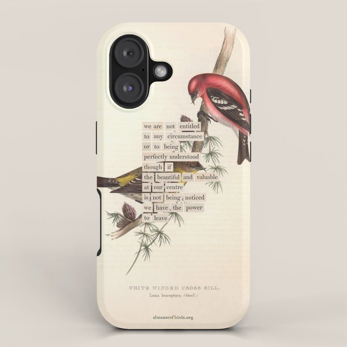 Bird Divinations: White-Winged Cross Bill (about: almanacofbirds.org) iPhone Case Gallery Image 1