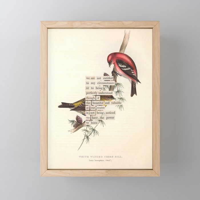 Bird Divinations: White-Winged Cross Bill (about: almanacofbirds.org) Mini Art Print Gallery Image 1
