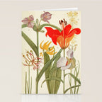 Wildflowers from "Rocky Mountain Flowers" (1914) by Edith Clements (benefitting The Nature Conservancy) Stationery Card Gallery Image 2