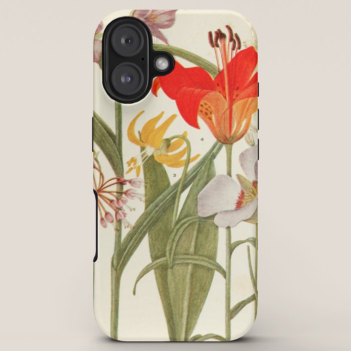 Wildflowers from "Rocky Mountain Flowers" (1914) by Edith Clements (benefitting The Nature Conservancy) iPhone Case Gallery Image 5