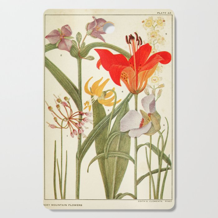 Wildflowers from "Rocky Mountain Flowers" (1914) by Edith Clements (benefitting The Nature Conservancy) Cutting Board Gallery Image 1