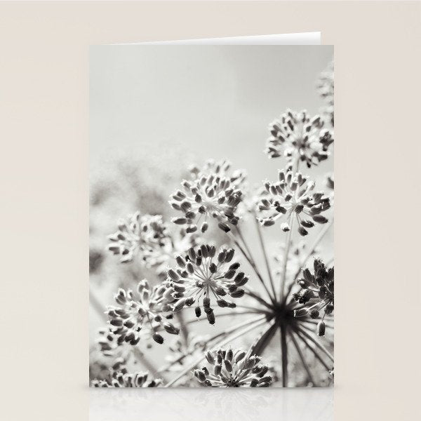 botanical abstract photograph no. 6 - black and white photography modern floral Stationery Card Gallery Image 1