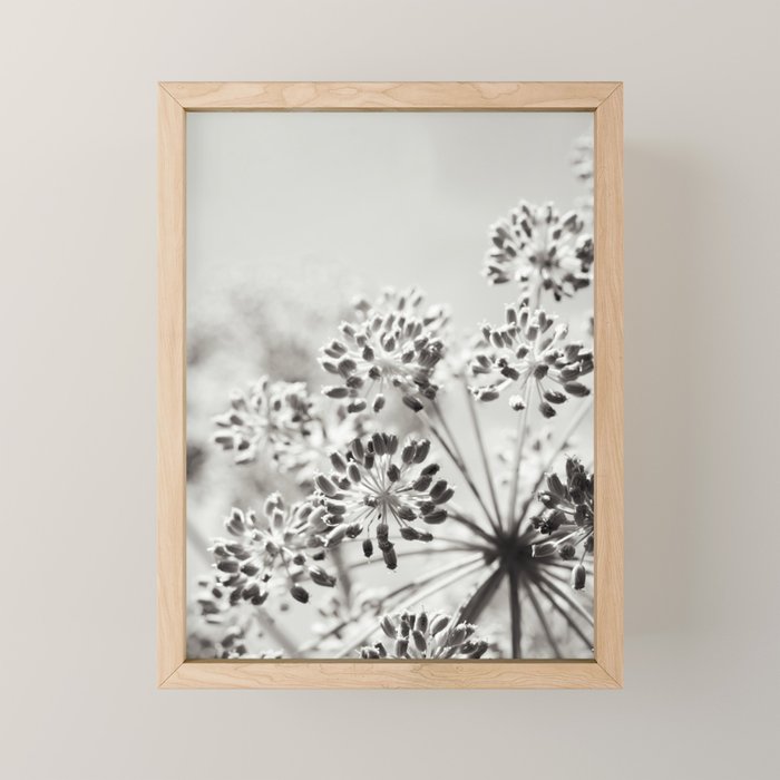 botanical abstract photograph no. 6 - black and white photography modern floral Mini Art Print Gallery Image 1