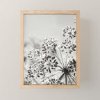 botanical abstract photograph no. 6 - black and white photography modern floral Mini Art Print Gallery Image 1