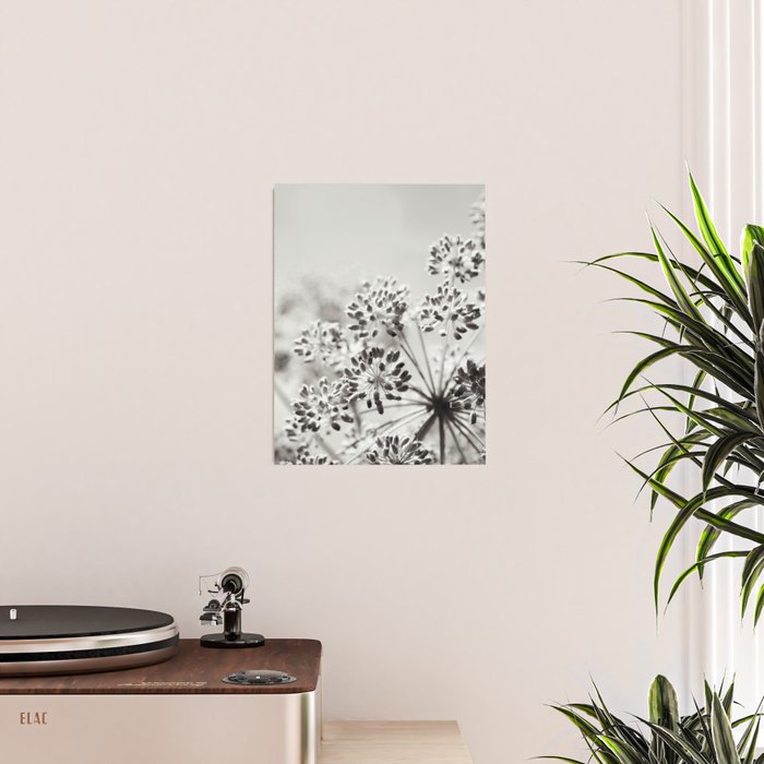 botanical abstract photograph no. 6 - black and white photography modern floral Poster Gallery Image 2