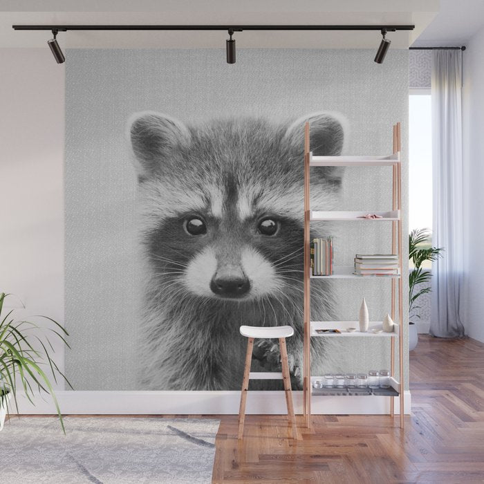 Raccoon - Black & White Wall Mural Gallery Image 1