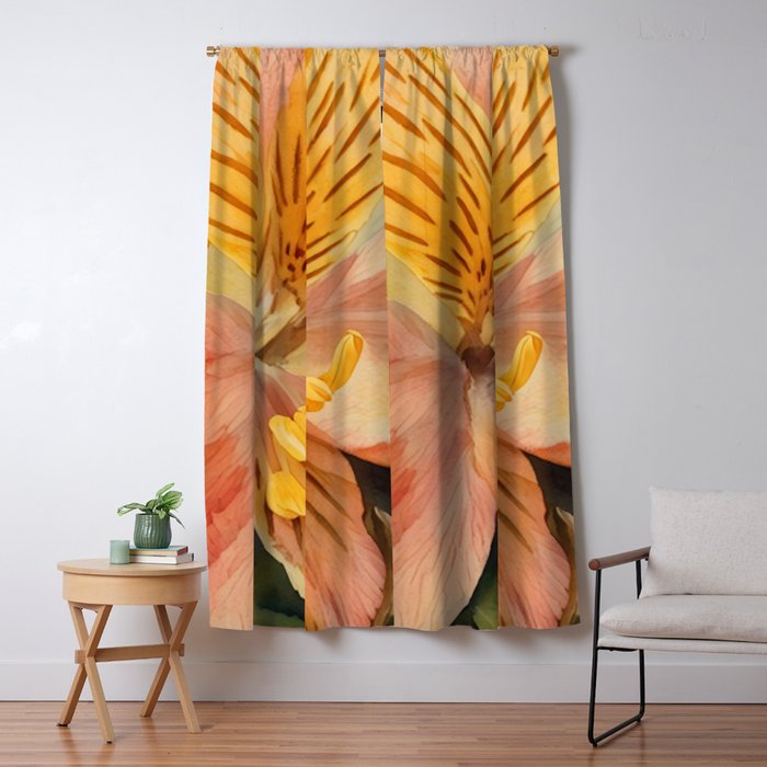 Lily of the Incas Window Curtain Gallery Image 5