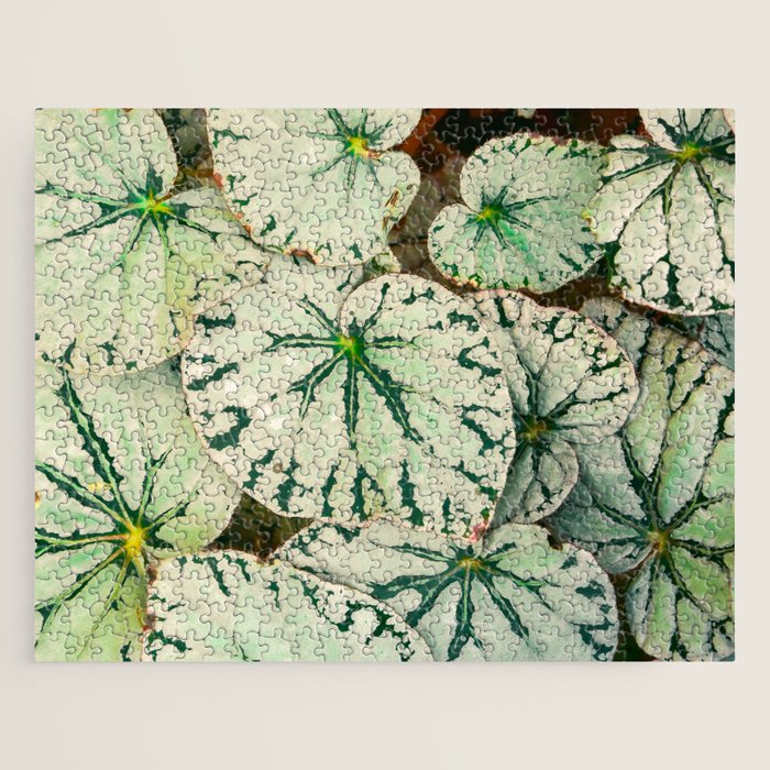 Begonia Leaf Jigsaw Puzzle Gallery Image 1