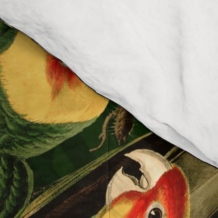 Floral and Birds XXXVI Comforter Gallery Image 4