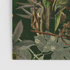 Floral and Birds XXXVI Poster Gallery Image 3
