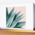 Agave flare II - peach Wall Mural Gallery Image 2