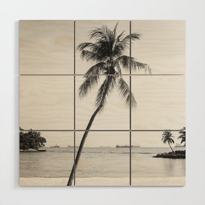 Palm Trees 16 Wood Wall Art Gallery Image 1