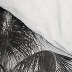 Palm Trees 16 Comforter Gallery Image 4