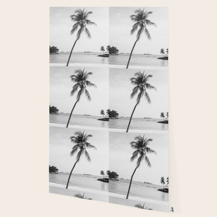 Palm Trees 16 Wallpaper Gallery Image 2