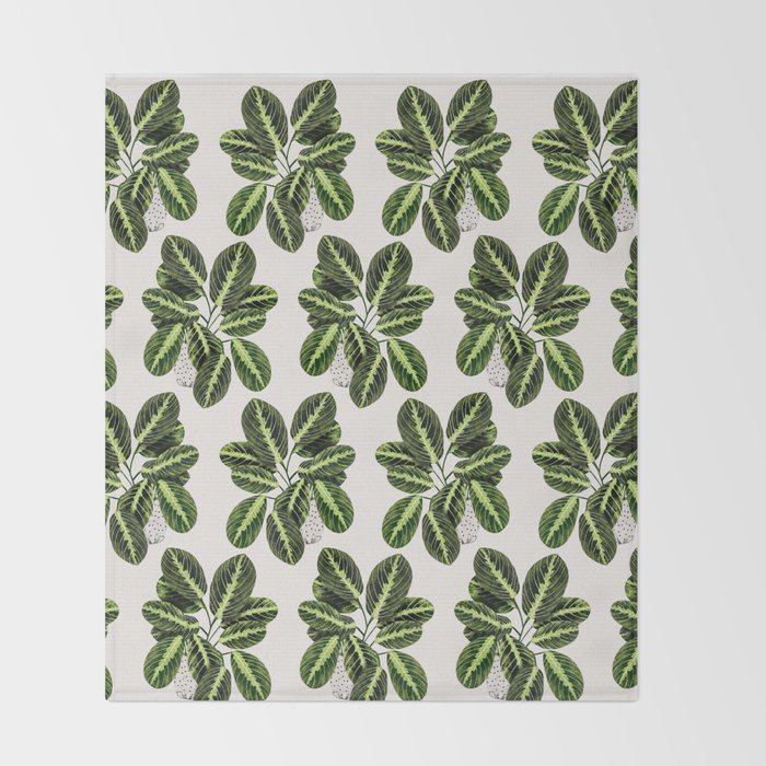 Maranta Lemon lime interior Plant Throw Blanket Gallery Image 2