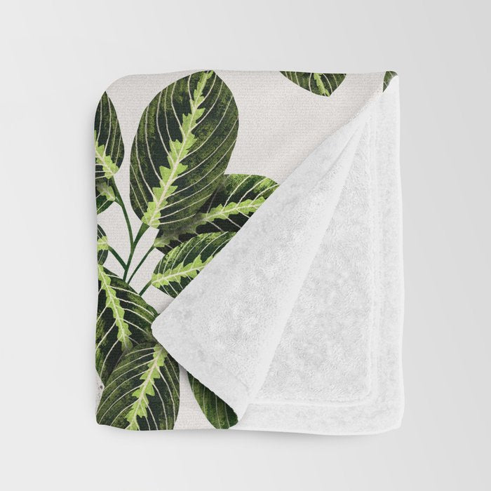 Maranta Lemon lime interior Plant Throw Blanket Gallery Image 3