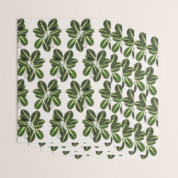 Maranta Lemon lime interior Plant Wrapping Paper Gallery Image 3