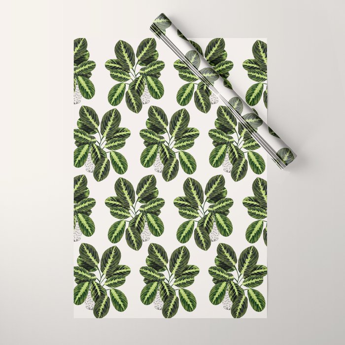 Maranta Lemon lime interior Plant Wrapping Paper Gallery Image 1