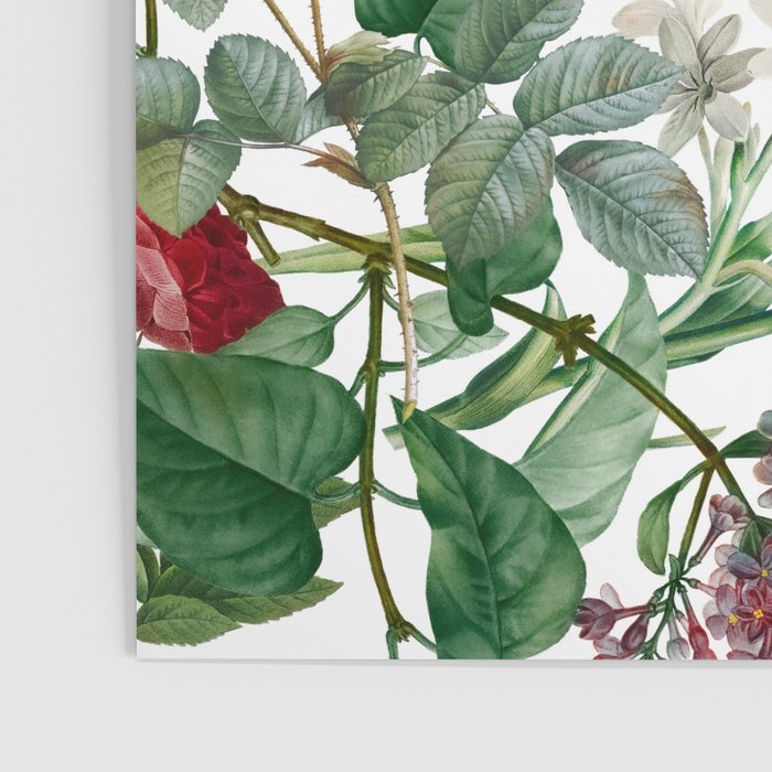Exotic Garden - Summer II  Poster Gallery Image 3