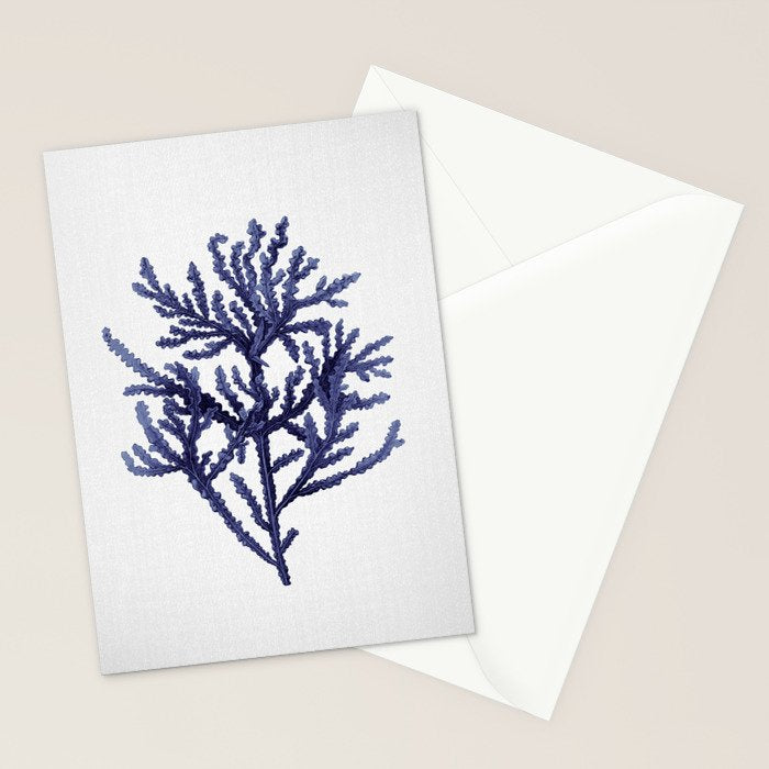 Seaweed 8 Stationery Card Gallery Image 2