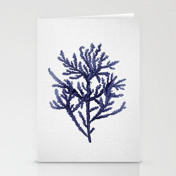 Seaweed 8 Stationery Card Gallery Image 2